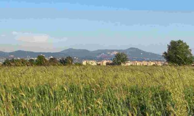 Parco di Centocelle