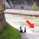 Tevere
