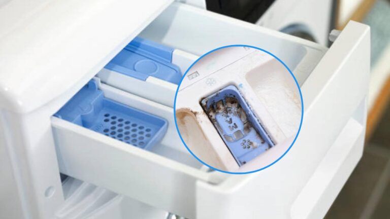 Sparefixd Cassetto Detersivo Per Lavatrice Indesit: Ricambio Originale Per Polvere E Detersivo (Codice C00097732) – Modelli Compatibili IWC/IWD