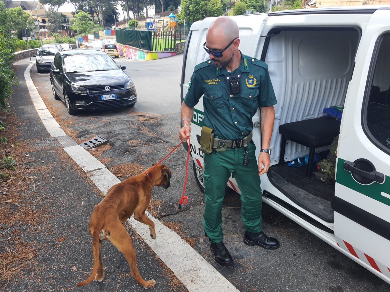 cane salvato a Castelnuovo di Porto