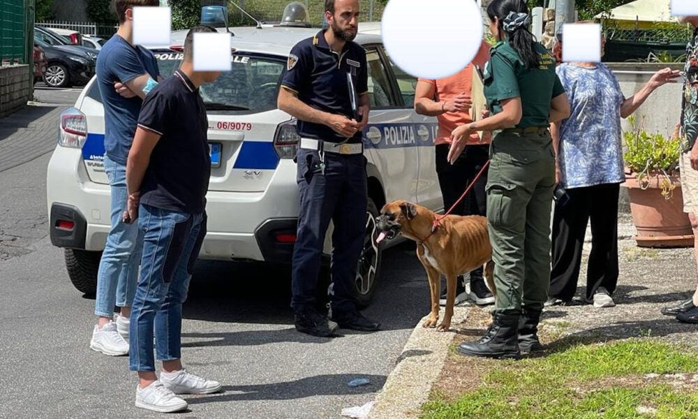 cane salvato a Castelnuovo di Porto