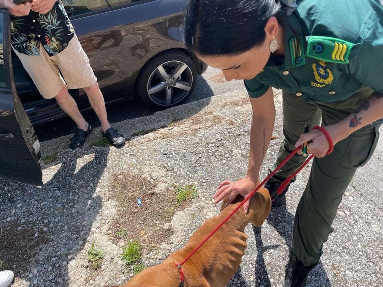 cane salvato a Castelnuovo di Porto