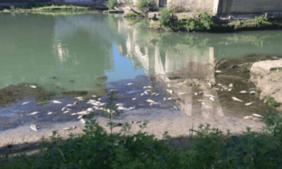 siccità tevere a roma