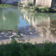 siccità tevere a roma