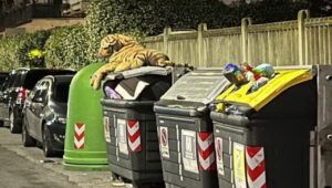 tigre abbandonata tra i rifiuti, ma è un peluche