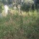Cimitero di Prima Porta