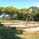 Parco di Centocelle