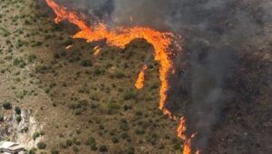 Allarme incendi a Roma e nelle aree del litorale laziale. Il direttore della Protezione Civile spiega cosa comporta questa problematica.