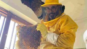 Andrea Lunerti estrae le api dal convento di Roma