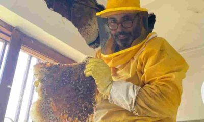 Andrea Lunerti estrae le api dal convento di Roma