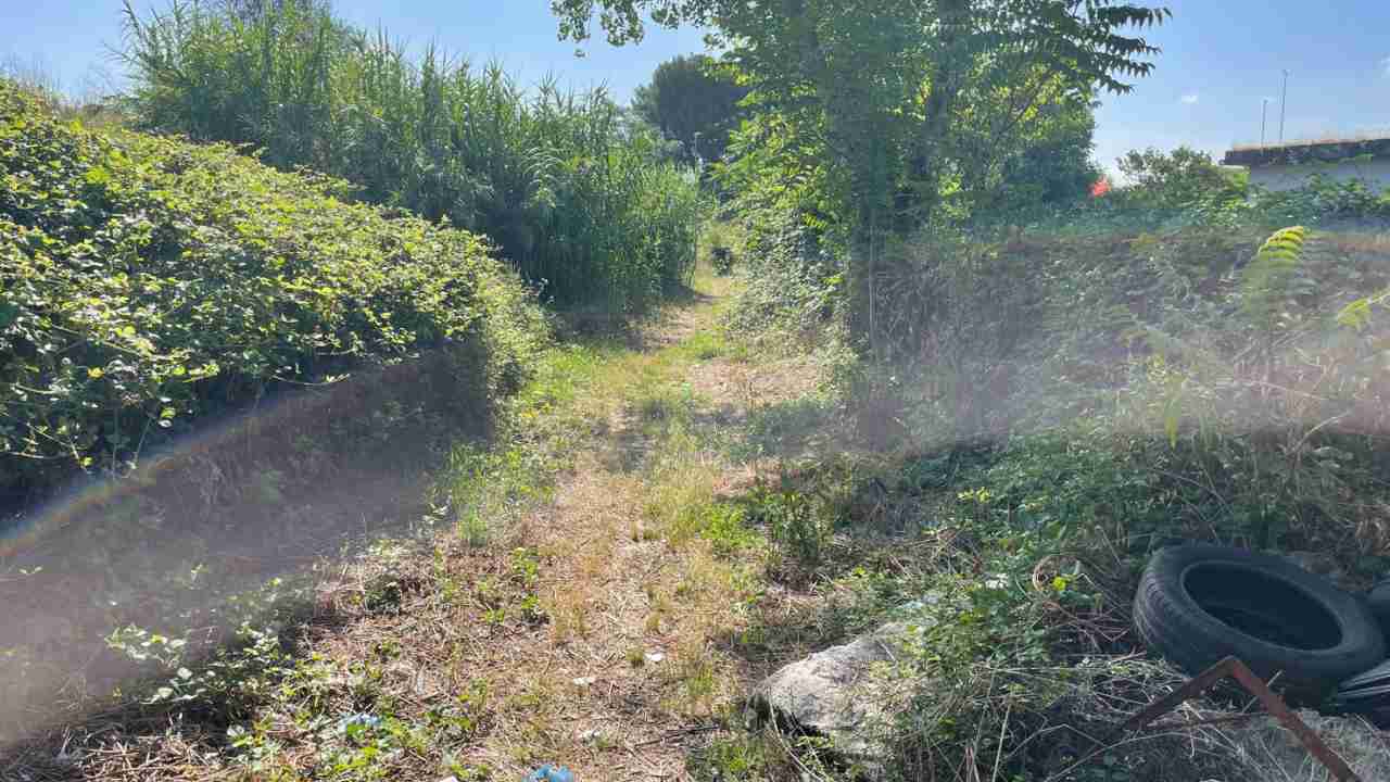 Area bonificata a Ponte Mammolo