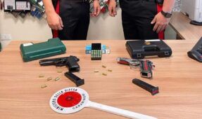 Le pistole sequestrate dai Carabinieri al Parco del Pineto ieri