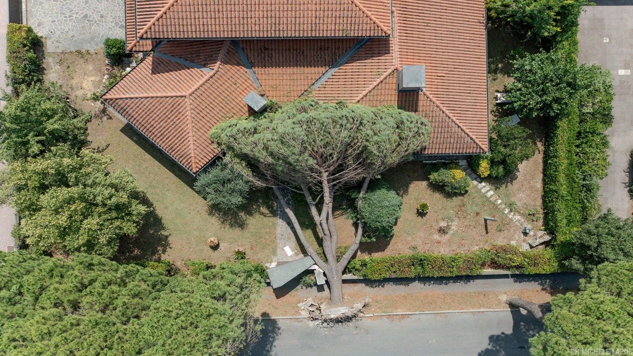 Milano alberi