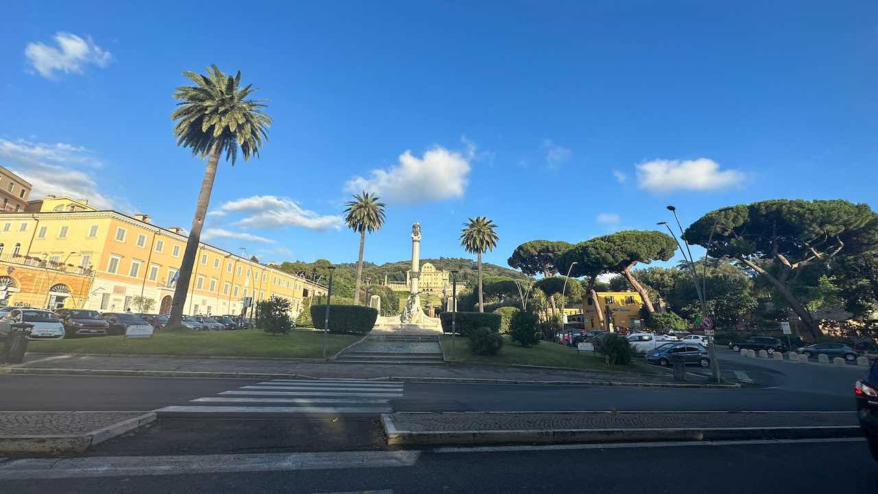 palma tagliata Frascati