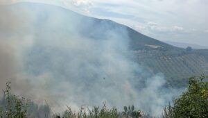 Incendio boschivo a Marcellina