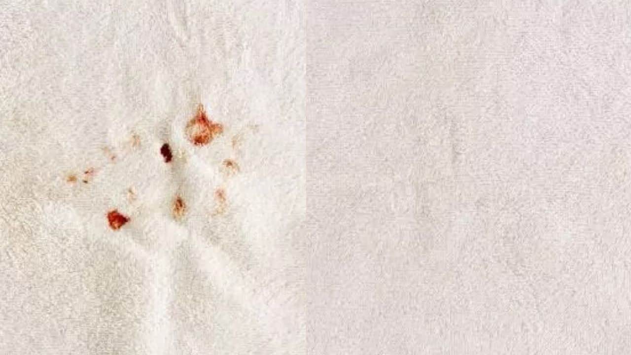 Macchie di sangue