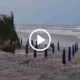 Mare in tempesta ad Ardea
