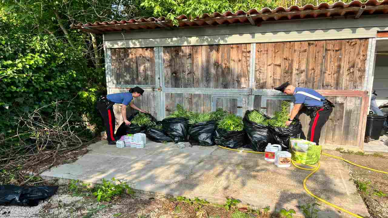 Un'attività di spaccio familiare quella portata avanti da 4 persone poi arrestate dai militari. Sequestrati oltre 18 kg di droga