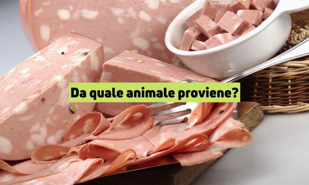 De qual animal vem a mortadela?  Parece óbvio mas não é nada disso