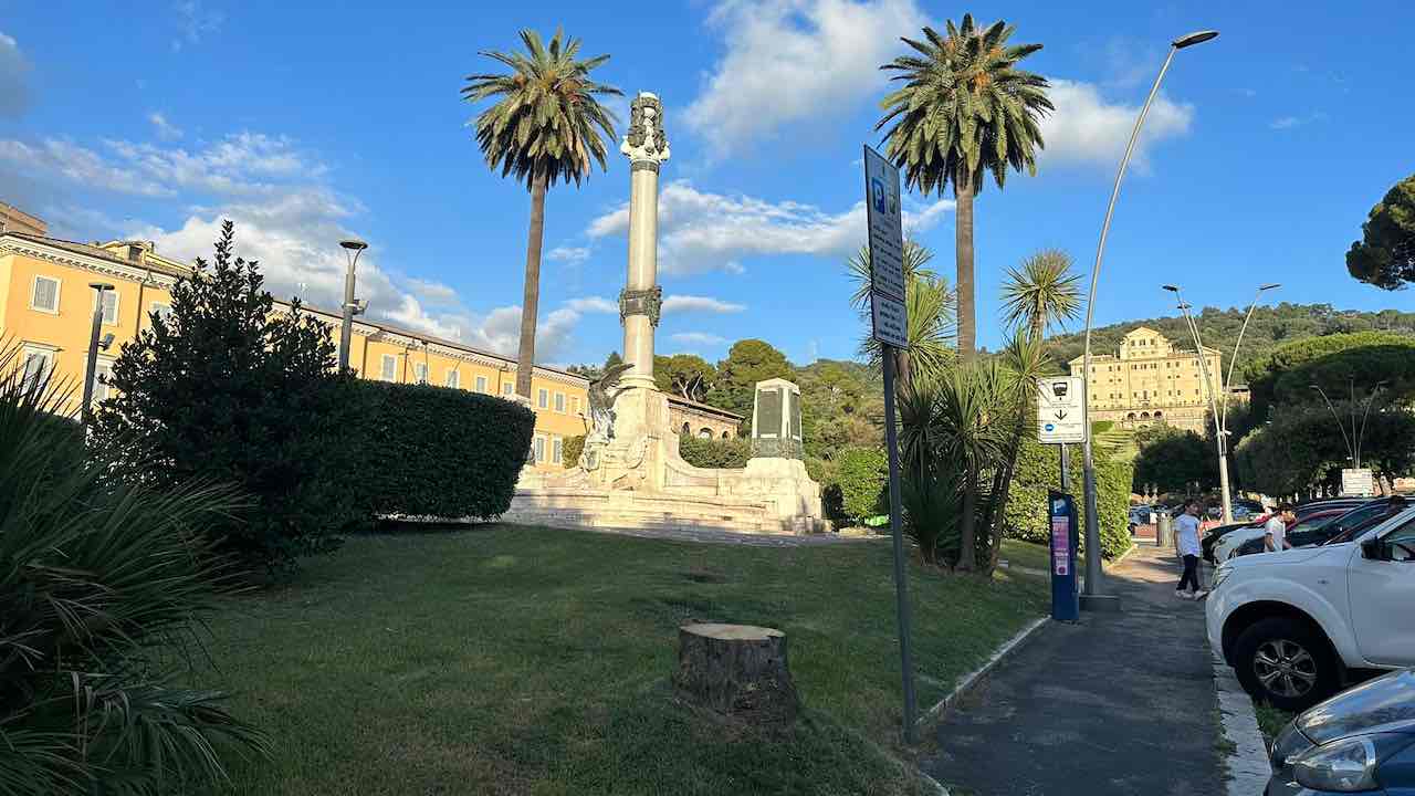 palma tagliata Frascati