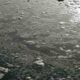 Inquinamento canale biffi ad ardea