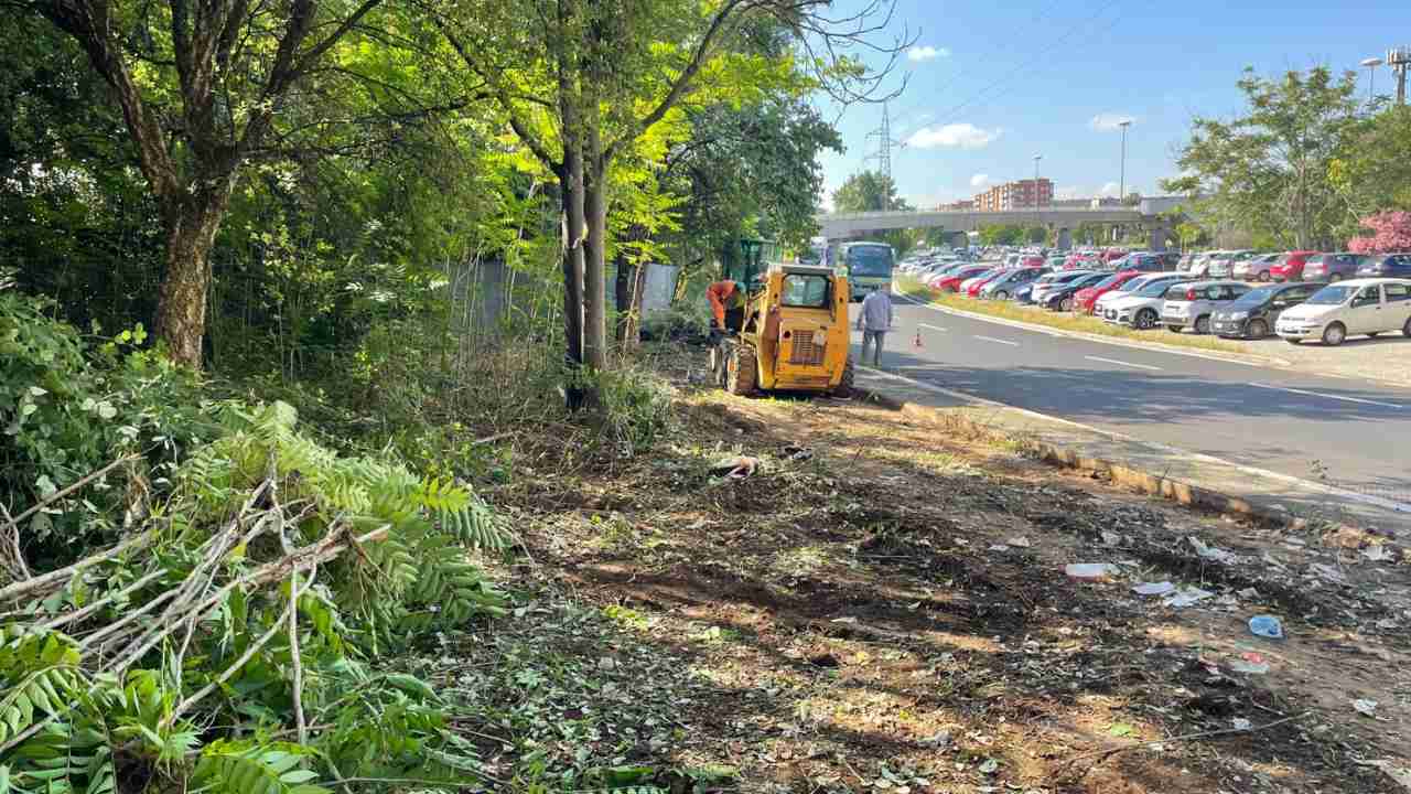 Terreno bonificato a Ponte Mammolo