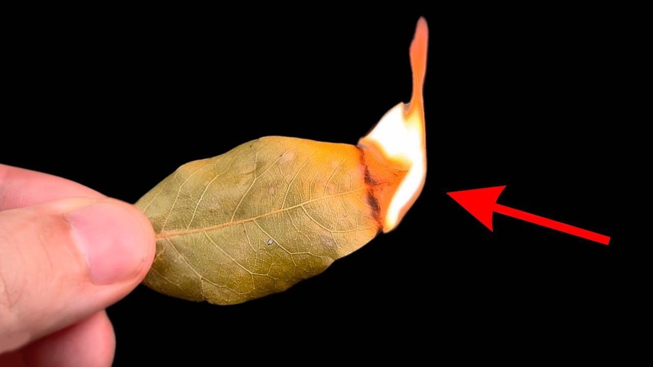 Mazzetti Di Ginepro Da Bruciare Farbenwald - 3 Pezzi, Ca. 15 Cm, Incenso Naturale Dalla Turchia Per Purificazione