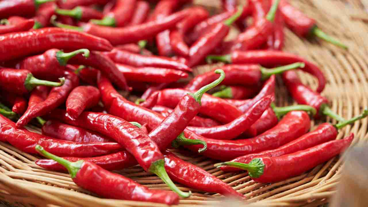 peperoncino