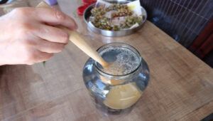 Trappola per mosche