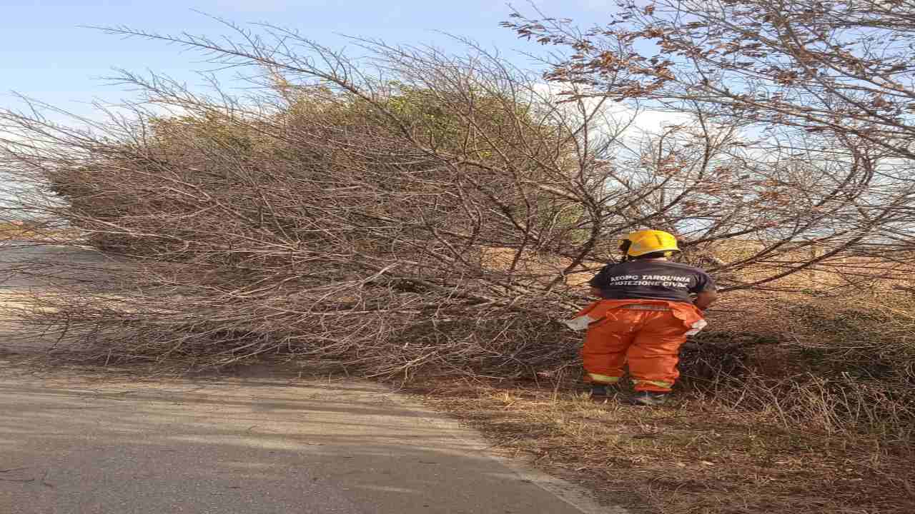 AEOPC Tarquinia - Base Protezione Civile