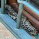 vipera Roma