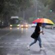 allerta meteo