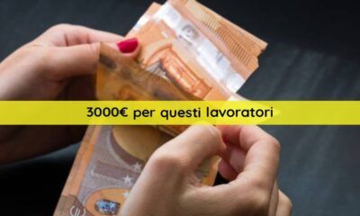 Euro in mano