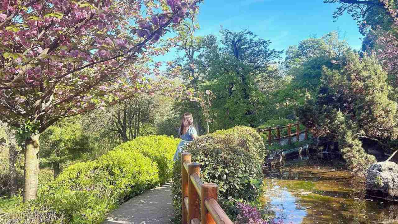 Giardino Zen nel cuore di Roma, un meraviglioso angolo del Giappone in  pieno centro