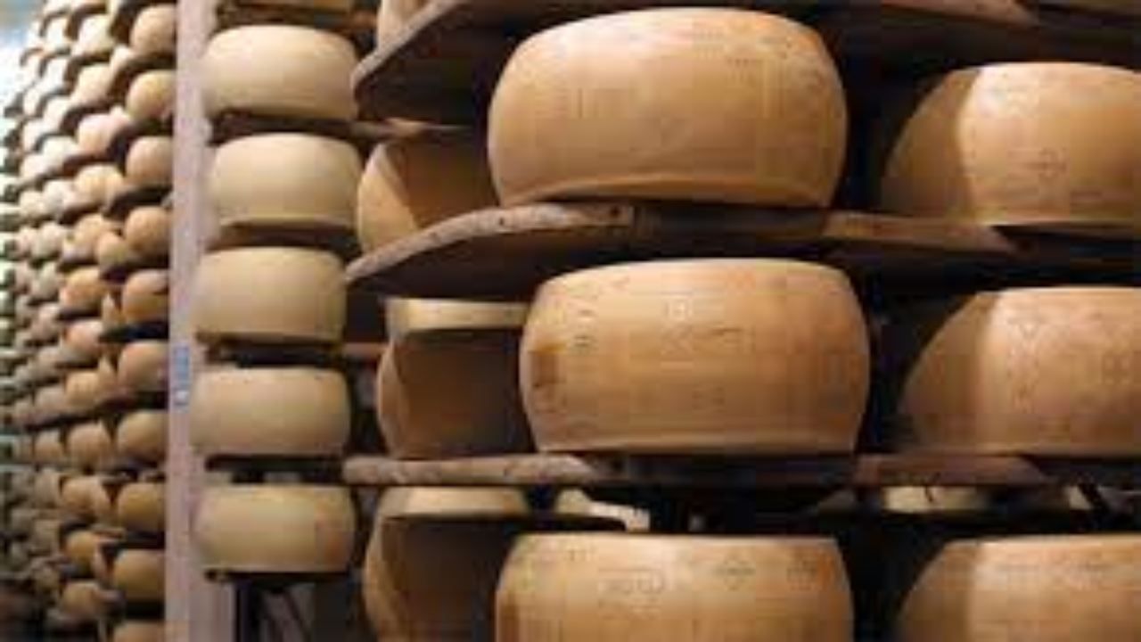 Grana Padano