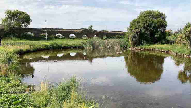 Laghetto di Parco Tor Tre Teste