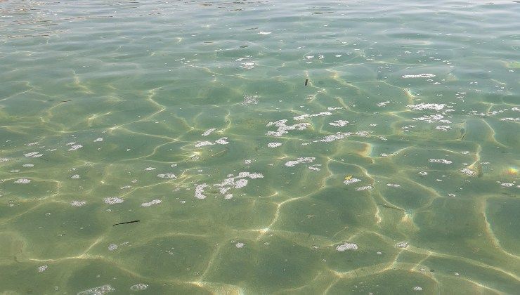 Mare di liquami a Santa Severa 