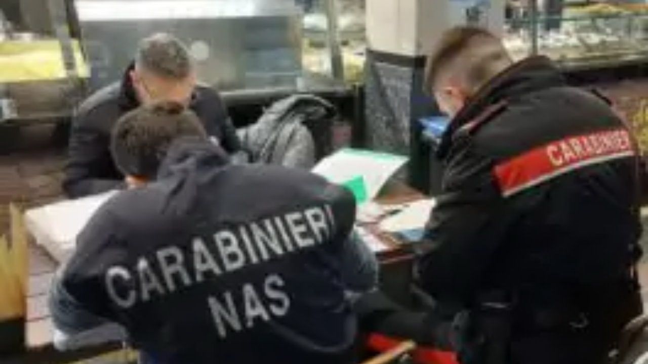 Nas controlli stabilimenti Latina