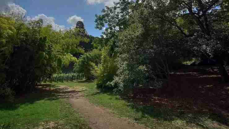 Orto Botanico di Roma