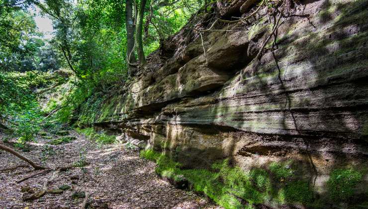 Parco di Veio, parco regionale in provincia di Roma. La natura e la strada in scogli di tufo intagliati