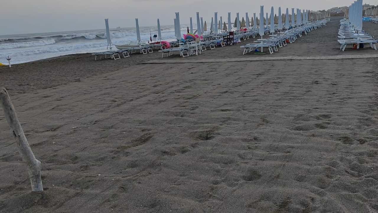 Tartaruga Foce Verde spiaggia spianata