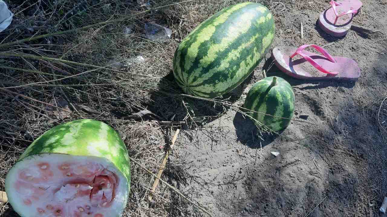 Torvaianica - rifiuti in spiaggia dopo i falò di Ferragosto