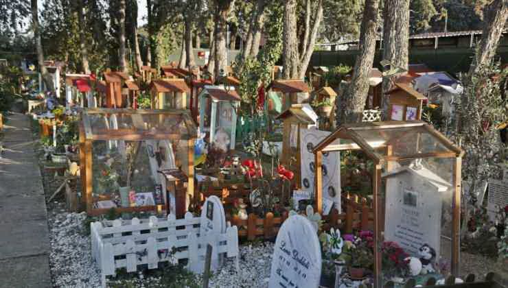 cimitero roma animali