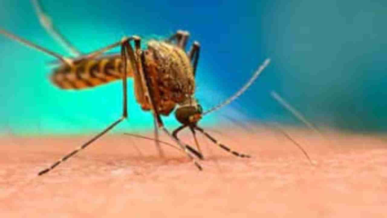 Dopo i casi registrati a Monza e nel Lodigiano, ancora un episodio sospetto di febbre Dengue in Lombardia.