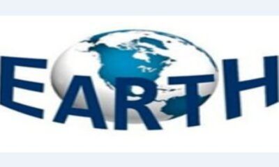 L'associazione Earth, denuncia un problema burocratico e procedurale in seno al Comune di Roma in ordine al recupero dei gatti.