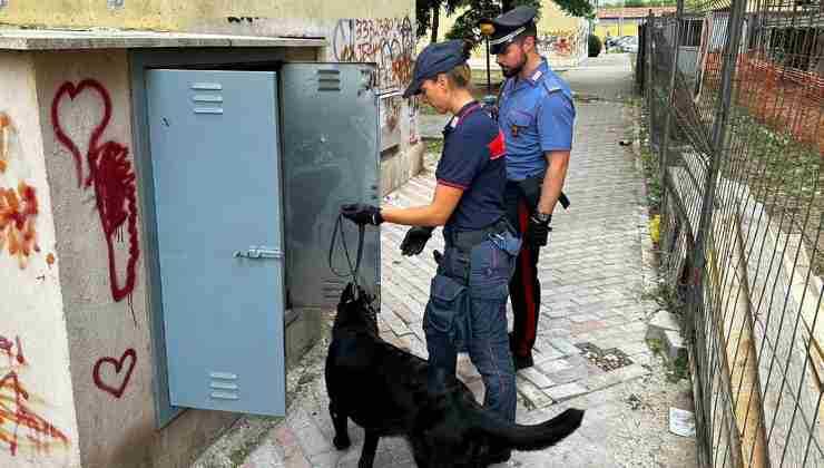 Blitz antidroga dei Carabinieri