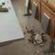 Un pezzo di controsoffitto è crollato ieri presso la facoltà di scienze politiche della Sapienza. Pare che il problema fosse noto.