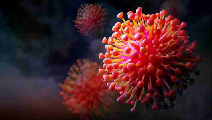 Covid al microscopio