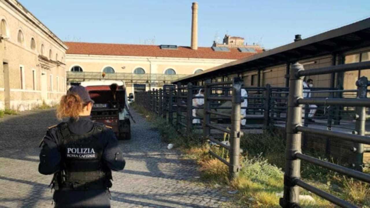 Sgomberati due capannoni presso l'ex Mattatoio di Ponte Testaccio. All'interno sono state trovate 23 persone in tutto.