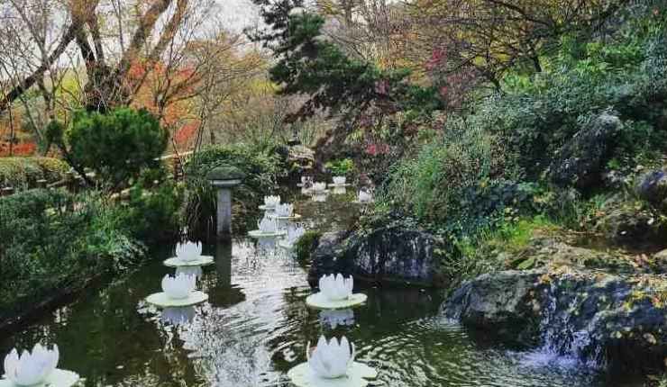 Giardino giapponese a Roma